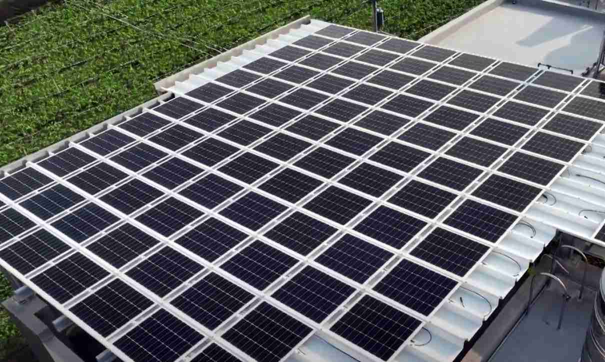 z6mg·人生就是博SunSteel光电浪板升级双玻结构，，，以提升机械负载强度及气候耐候度，，，可广泛运用于多元场域